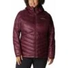 Columbia Joy Peak Hooded Jacket - Women's -Ladies Skiing Store 1982672 671 f 2223fw