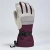 Gordini Cache Gauntlet Glove - Women's 1 Gordini Cache Gauntlet Glove - Women's -Ladies Skiing Store GOR 3G4199 lg pp