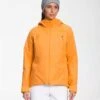 The North Face Clementine Triclimate Jacket - Women's