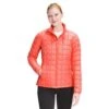 The North Face Thermoball Eco Jacket - Women's -Ladies Skiing Store fw22 nf0a5gld v3s hero