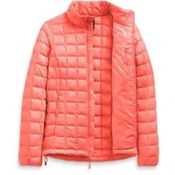 The North Face Thermoball Eco Jacket - Women's -Ladies Skiing Store fw22 nf0a5gld v3s int