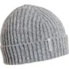 Turtle Fur Recycled Clara Beanie - Women's -Ladies Skiing Store fw22 recycled clara beanie ash