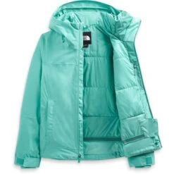 The North Face Descendit Jacket - Women's -Ladies Skiing Store nf0a4r1r 6r7 int fww22 23